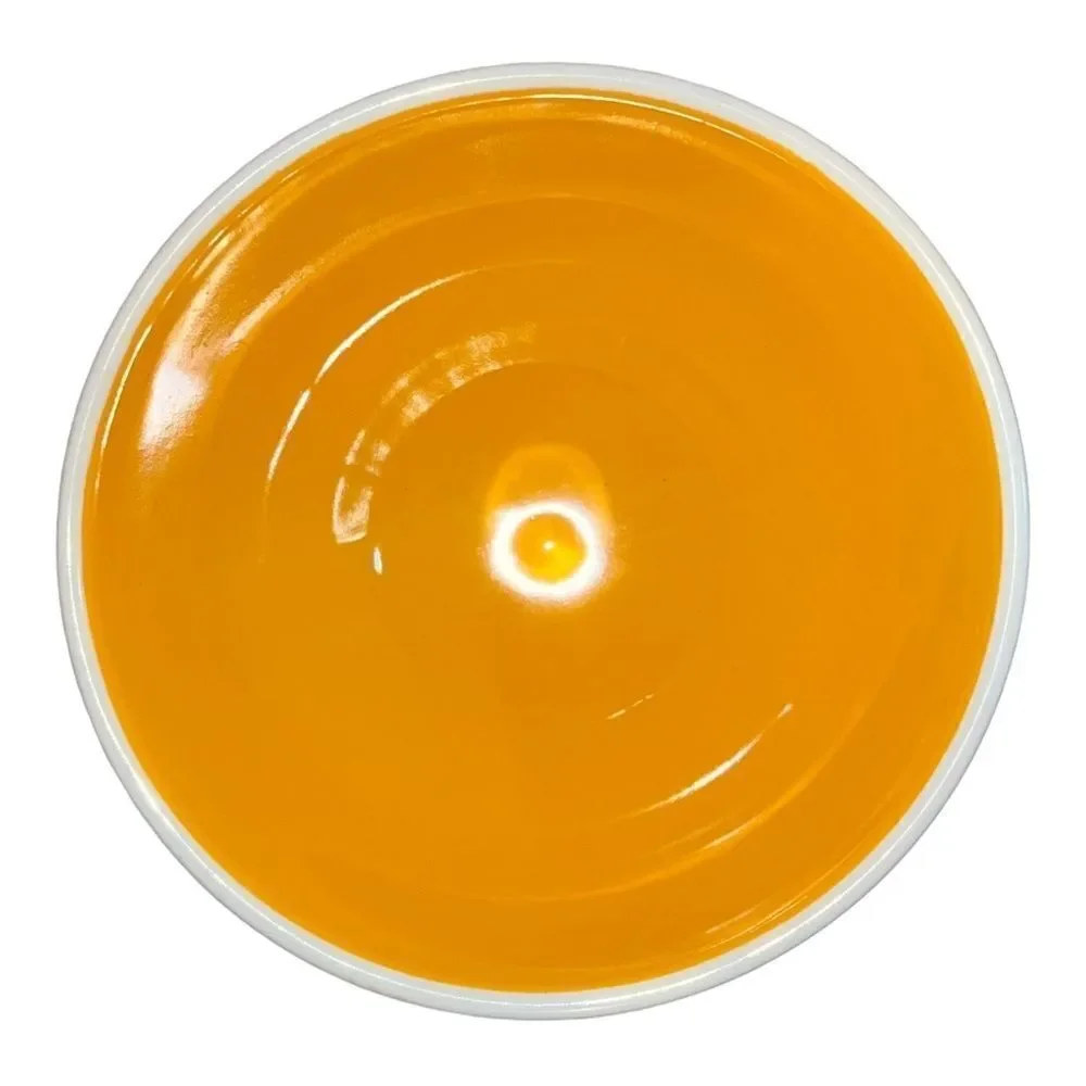 Rae Dunn Artisan Collection by Magenta MUNCH Yellow Interior Cereal Soup Bowl